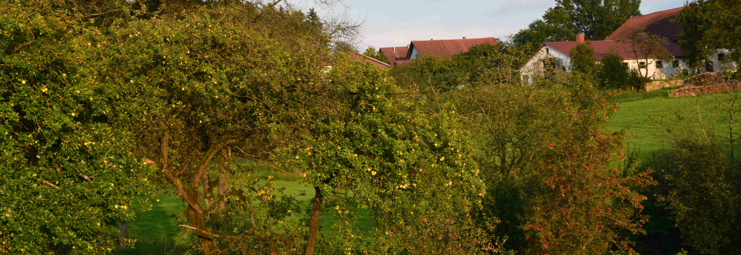 Gemeinde Thyrnau Eine weitere WordPressWebsite