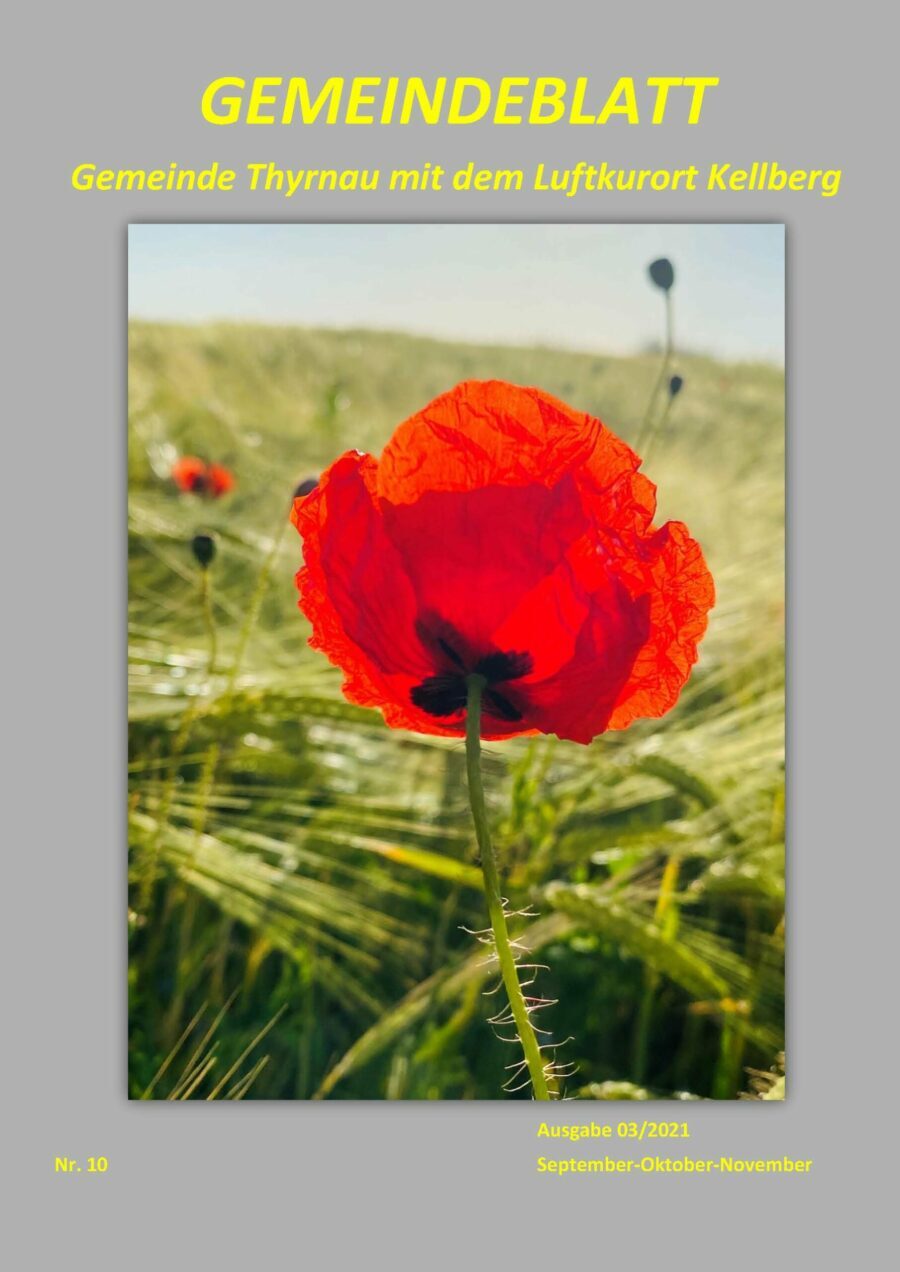 Gemeindeblatt 03/2021